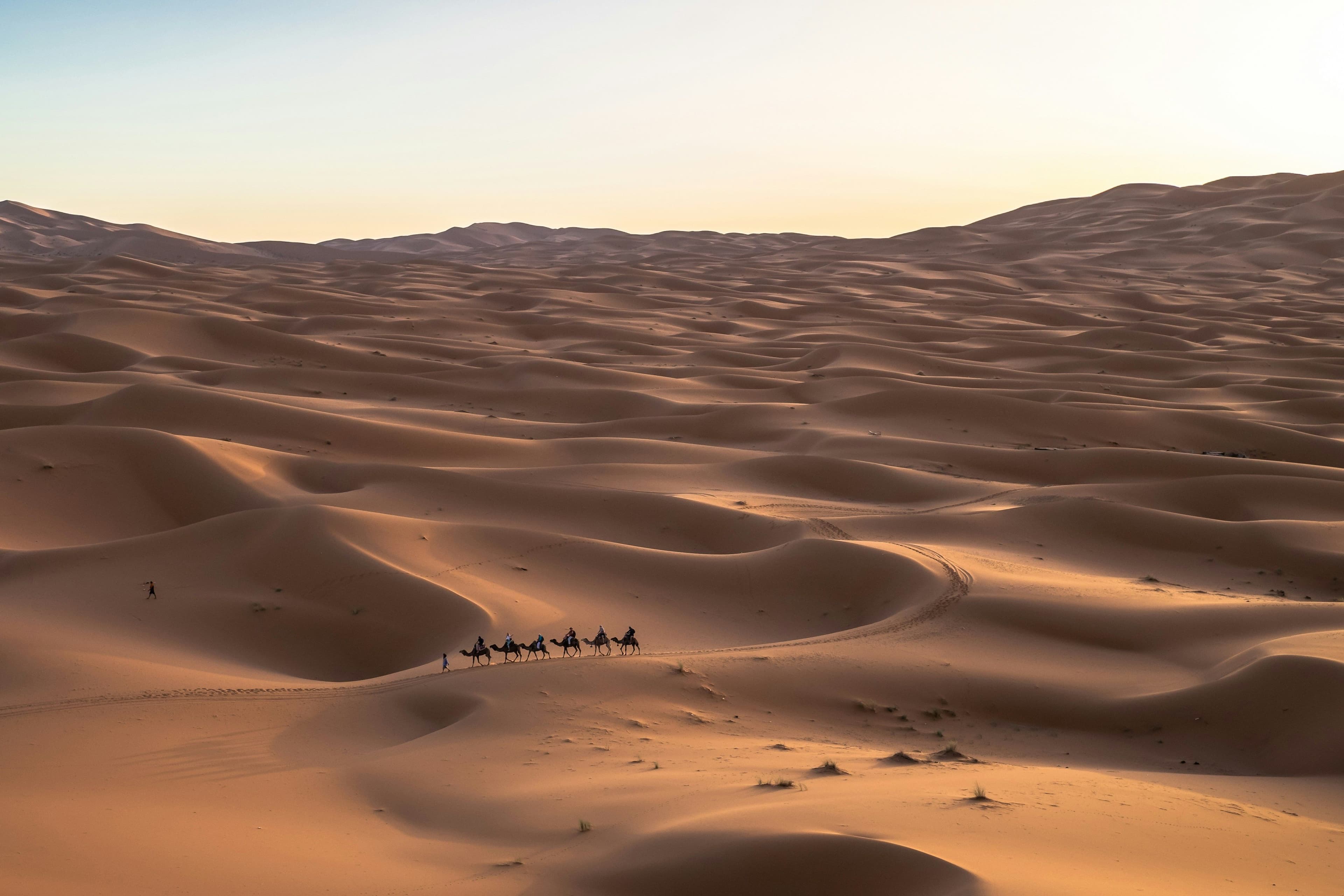 Riyadh - photo 6